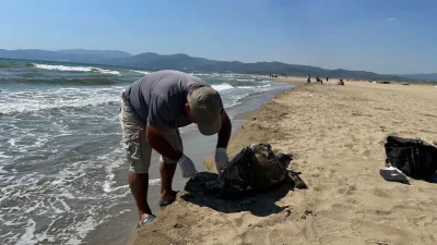 Pamucak Sahili’nde Ayağına Taş Bağlanan Deniz Kaplumbağası Telef Oldu