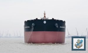 Diana Shipping’den Newcastlemax Philadelphia İçin Rekor Kiralama Bedeli